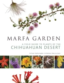 Marfa Garden