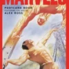 Marvels Postcard Book