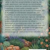 Mediterrane planten in ons klimaat