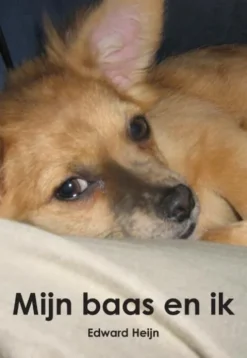 Mijn baas en ik