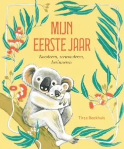 Mijn eerste jaar