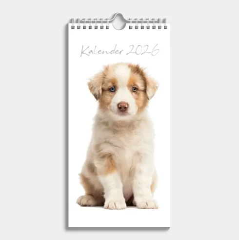 Minikalender Honden 2026