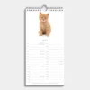 Minikalender Katten 2026