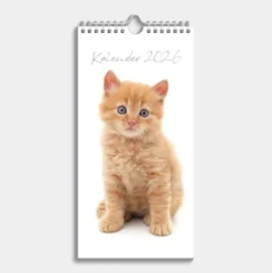 Minikalender Katten 2026
