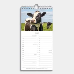 Minikalender Koeien 2026