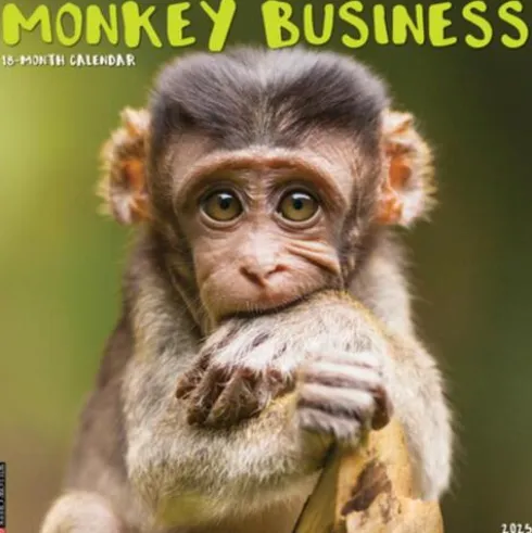 Monkey Business 2025 12 X 12 Wall Calendar