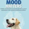 Mood Matters - MHERA
