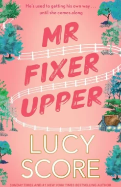 Mr Fixer Upper