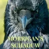 Mórrigan's schaduw