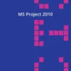 MS Project 2010