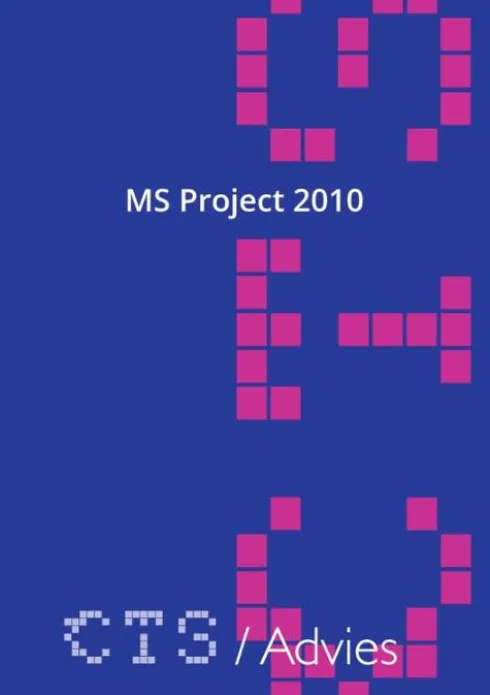 MS Project 2010