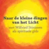Naar de 'kleine dingen van het licht'