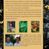 Natural Florida Landscaping