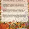 Nazomer, het vergeten tuinseizoen