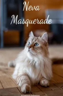 Neva Masquerade