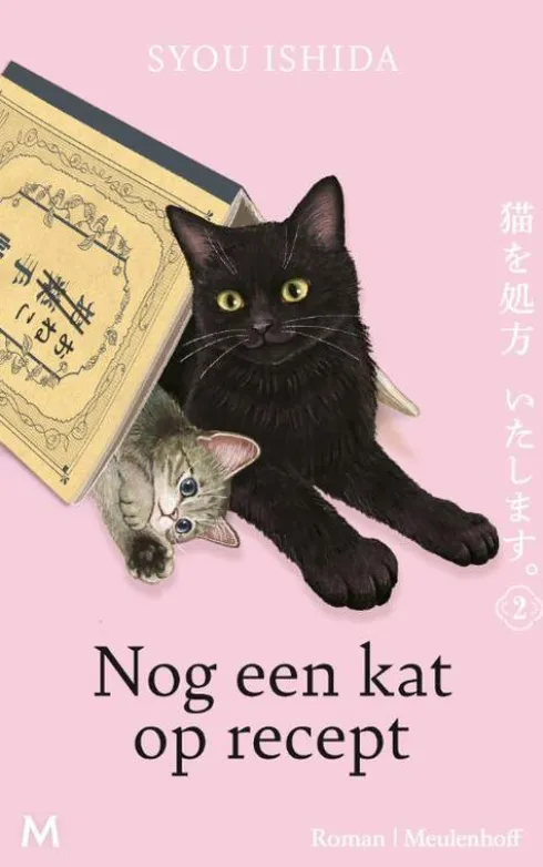 Nog een kat op recept