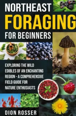 Northeast Foraging for Beginners