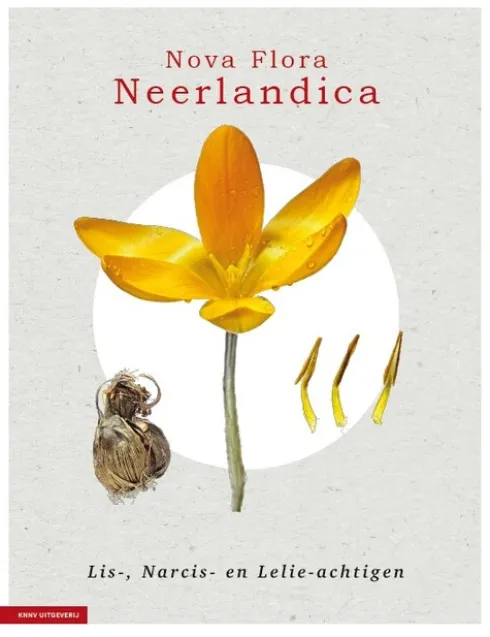 Nova Flora Neerlandica deel 3 - Lis-, Narcis- en Lelieachtigen