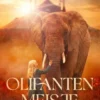 Olifantenmeisje