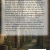 Onbekend Heusden