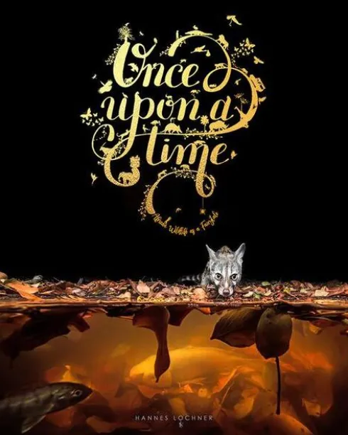 Once Upon a Time
