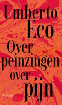 Overpeinzingen over pijn