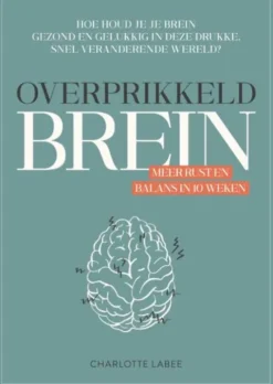 Overprikkeld brein
