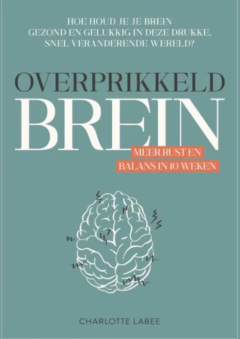 Overprikkeld brein