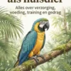 Papegaaien als huisdier