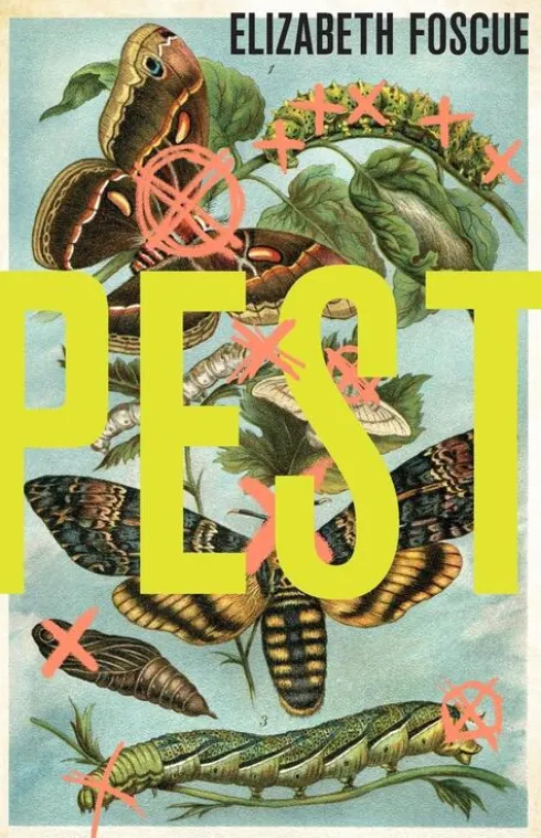 Pest