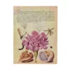Pink Carnation (Mira Botanica) Ultra Lined Softcover Flexi Journal (Elastic Band Closure)