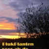 PlukPlanten voor als de Pleuris uitPreekt
