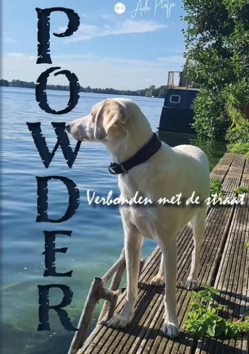 Powder