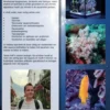 Praktische handleiding voor het zeeaquarium