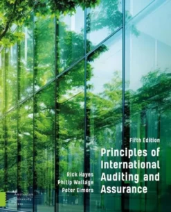 Principles of International Auditing and Assurance