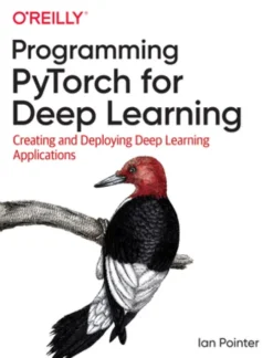 Programming PyTorch for Deep Learning