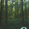 Project Bigfoot