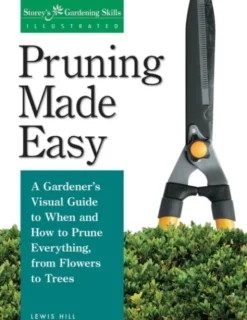 Pruning Made Easy