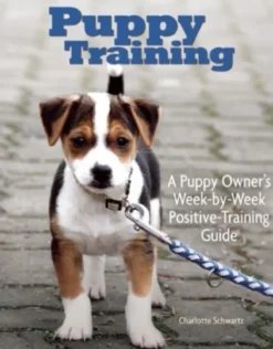 Puppy Training