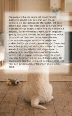 Puppytraining in 8 weken
