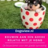 Puppy werkbook