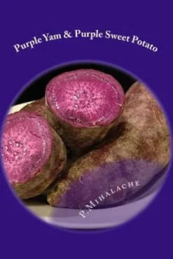 Purple Yam & Purple Sweet Potato: the secret to living until 100