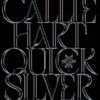 Quicksilver