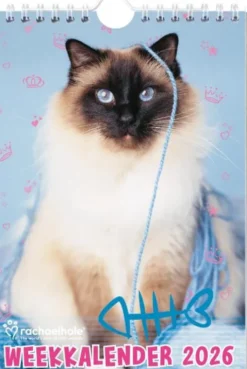 Rachael Hale Katten weekkalender 2026