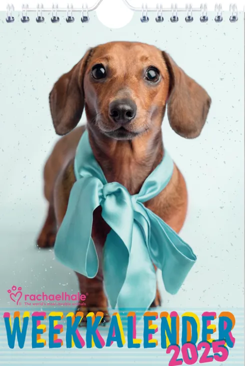 Rachael Hale weekkalender