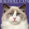 Ragdoll Cats 2026 Wall Calendar