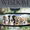 Rear View Wisdom