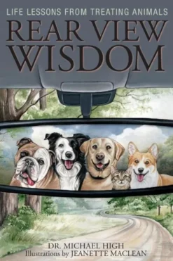 Rear View Wisdom