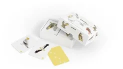Roofvogels en Uilen memospel