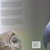 Roofvogels & uilen in Europa